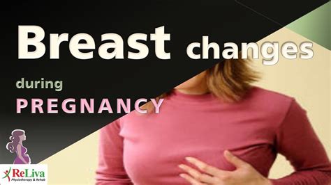 areola during pregnancy pictures|Breast changes in pregnancy: expert GP guide to。